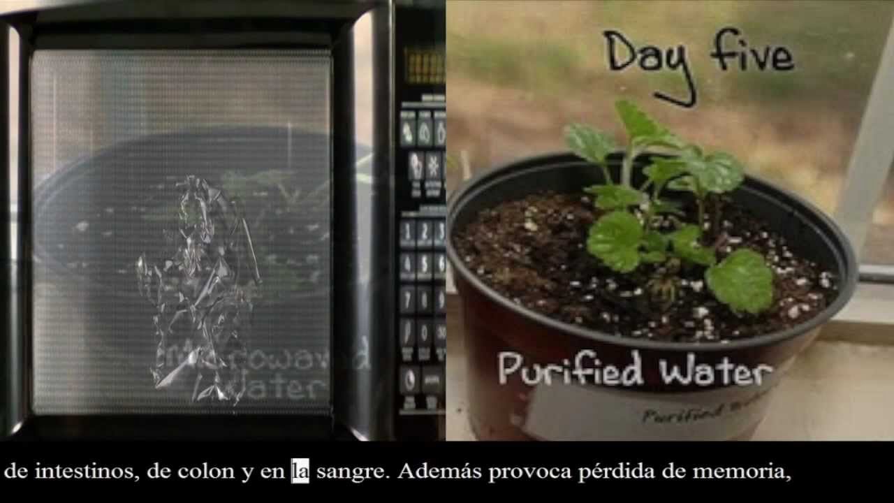 La máquina del cáncer: ¡Tira tu horno microondas!