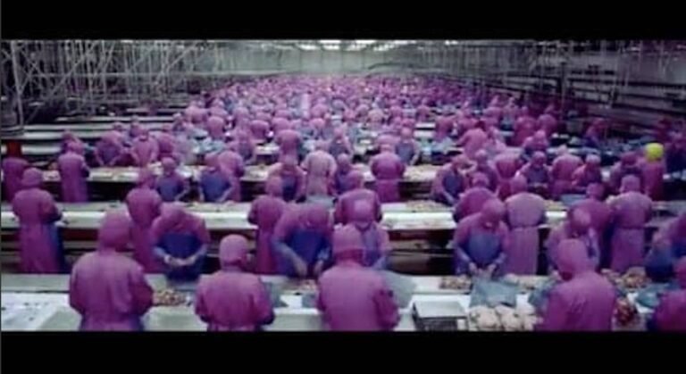 McDonald: ¿Porqué Las Hamburguesas No Se Descomponen.. 6 años después..? 1 Sin decir 1 palabra 6 minutos de vídeo le dejan mudo